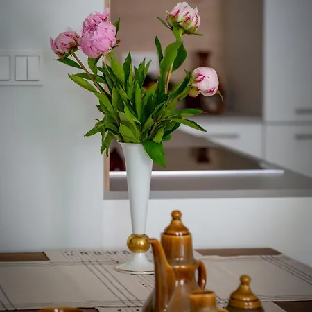 Apartman Mlynarza - Mlyn Maria - Art